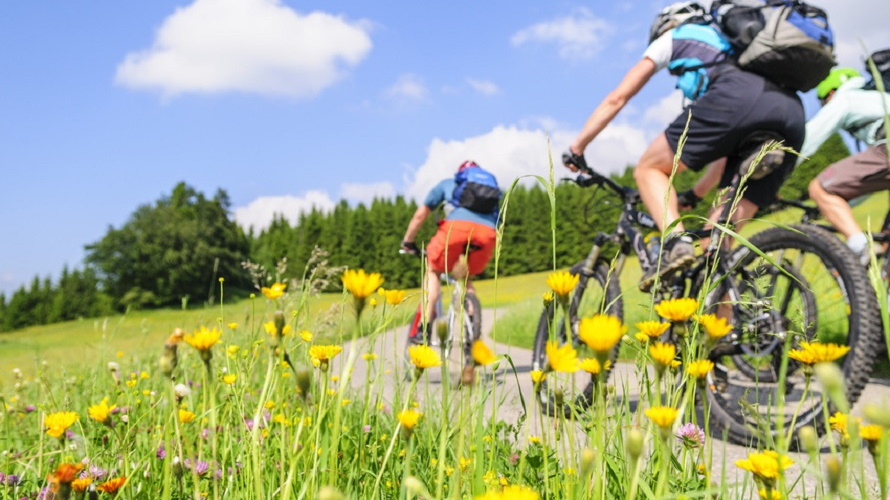 Mountainbike. Zwei Radfahrer fahren durch die Berge.